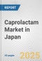 Caprolactam Market in Japan: 2019-2024 Review and Forecast to 2029 - Product Image