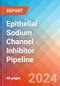 Epithelial Sodium Channel (ENaC) Inhibitor - Pipeline Insight, 2024 - Product Thumbnail Image