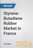 Styrene-Butadiene Rubber Market in France: 2017-2023 Review and Forecast to 2027- Product Image