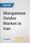 Manganese Oxides Market in Iran: Business Report 2024 - Product Thumbnail Image