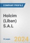 Holcim (Liban) S.A.L. Fundamental Company Report Including Financial, SWOT, Competitors and Industry Analysis - Product Thumbnail Image