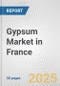 Gypsum Market in France: 2018-2023 Review and Forecast to 2028 - Product Thumbnail Image