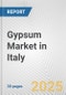 Gypsum Market in Italy: 2018-2023 Review and Forecast to 2028 - Product Thumbnail Image