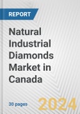 Natural Industrial Diamonds Market in Canada: 2018-2023 Review and Forecast to 2028- Product Image