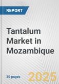 Tantalum Market in Mozambique: 2019-2024 Review and Forecast to 2029- Product Image