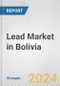 Lead Market in Bolivia: 2018-2023 Review and Forecast to 2028 - Product Thumbnail Image