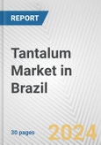 Tantalum Market in Brazil: 2018-2023 Review and Forecast to 2028- Product Image