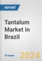 Tantalum Market in Brazil: 2018-2023 Review and Forecast to 2028 - Product Thumbnail Image