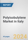 Polyisobulylene Market in Italy: 2018-2023 Review and Forecast to 2028- Product Image