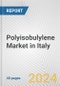 Polyisobulylene Market in Italy: 2018-2023 Review and Forecast to 2028 - Product Thumbnail Image