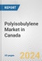 Polyisobulylene Market in Canada: 2019-2024 Review and Forecast to 2029 - Product Thumbnail Image