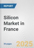 Silicon Market in France: 2019-2024 Review and Forecast to 2029- Product Image