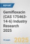 Gemifloxacin (CAS 175463-14-6) Industry Research 2025: Global and Regional Market Trends 2019-2024 and Forecast to 2029 - Product Thumbnail Image