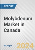 Molybdenum Market in Canada: 2019-2024 Review and Forecast to 2029- Product Image