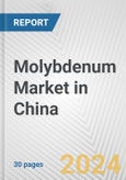 Molybdenum Market in China: 2018-2023 Review and Forecast to 2028- Product Image