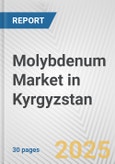 Molybdenum Market in Kyrgyzstan: 2019-2024 Review and Forecast to 2029- Product Image