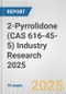 2-Pyrrolidone (CAS 616-45-5) Industry Research 2025: Global and Regional Market Trends 2019-2024 and Forecast to 2029 - Product Image