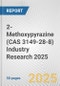 2-Methoxypyrazine (CAS 3149-28-8) Industry Research 2025: Global and Regional Market Trends 2019-2024 and Forecast to 2029 - Product Image