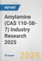 Amylamine (CAS 110-58-7) Industry Research 2025: Global and Regional Market Trends 2019-2024 and Forecast to 2029 - Product Image