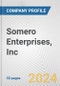 Somero Enterprises, Inc. Fundamental Company Report Including Financial, SWOT, Competitors and Industry Analysis - Product Thumbnail Image