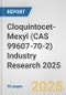 Cloquintocet-Mexyl (CAS 99607-70-2) Industry Research 2025: Global and Regional Market Trends 2019-2024 and Forecast to 2029 - Product Image