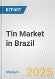 Tin Market in Brazil: 2019-2024 Review and Forecast to 2029- Product Image