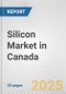 Silicon Market in Canada: 2019-2024 Review and Forecast to 2029 - Product Image