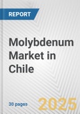 Molybdenum Market in Chile: 2019-2024 Review and Forecast to 2029- Product Image