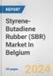 Styrene-Butadiene Rubber (SBR) Market in Belgium: 2017-2023 Review and Forecast to 2027 - Product Thumbnail Image