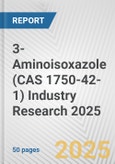 3-Aminoisoxazole (CAS 1750-42-1) Industry Research 2025: Global and Regional Market Trends 2019-2024 and Forecast to 2029- Product Image