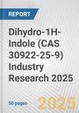 Dihydro-1H-Indole (CAS 30922-25-9) Industry Research 2025: Global and Regional Market Trends 2019-2024 and Forecast to 2029- Product Image