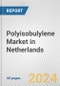 Polyisobulylene Market in Netherlands: 2019-2024 Review and Forecast to 2029 - Product Thumbnail Image