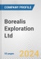 Borealis Exploration Ltd. Fundamental Company Report Including Financial, SWOT, Competitors and Industry Analysis - Product Thumbnail Image