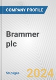 Brammer plc Fundamental Company Report Including Financial, SWOT, Competitors and Industry Analysis- Product Image