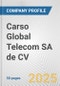 Carso Global Telecom SA de CV Fundamental Company Report Including Financial, SWOT, Competitors and Industry Analysis - Product Thumbnail Image