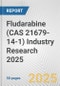 Fludarabine (CAS 21679-14-1) Industry Research 2025: Global and Regional Market Trends 2019-2024 and Forecast to 2029 - Product Image