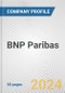 BNP Paribas Fundamental Company Report Including Financial, SWOT, Competitors and Industry Analysis - Product Thumbnail Image