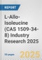 L-Allo-Isoleucine (CAS 1509-34-8) Industry Research 2025: Global and Regional Market Trends 2019-2024 and Forecast to 2029 - Product Image