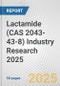 Lactamide (CAS 2043-43-8) Industry Research 2025: Global and Regional Market Trends 2019-2024 and Forecast to 2029 - Product Image