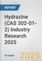 Hydrazine (CAS 302-01-2) Industry Research 2025: Global and Regional Market Trends 2019-2024 and Forecast to 2029 - Product Image