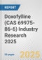 Doxofylline (CAS 69975-86-6) Industry Research 2025: Global and Regional Market Trends 2019-2024 and Forecast to 2029 - Product Image