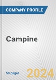 Campine Fundamental Company Report Including Financial, SWOT, Competitors and Industry Analysis- Product Image