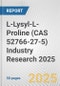 L-Lysyl-L-Proline (CAS 52766-27-5) Industry Research 2025: Global and Regional Market Trends 2019-2024 and Forecast to 2029 - Product Image