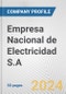 Empresa Nacional de Electricidad S.A. Fundamental Company Report Including Financial, SWOT, Competitors and Industry Analysis - Product Thumbnail Image