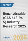 Benzhydrazide (CAS 613-94-5) Industry Research 2025: Global and Regional Market Trends 2019-2024 and Forecast to 2029- Product Image