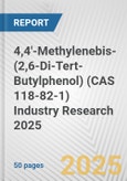 4,4'-Methylenebis-(2,6-Di-Tert-Butylphenol) (CAS 118-82-1) Industry Research 2025: Global and Regional Market Trends 2019-2024 and Forecast to 2029- Product Image