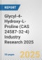 Glycyl-4-Hydroxy-L-Proline (CAS 24587-32-4) Industry Research 2025: Global and Regional Market Trends 2019-2024 and Forecast to 2029 - Product Image