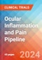Ocular Inflammation and Pain - Pipeline Insight, 2024 - Product Thumbnail Image