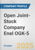 Open Joint-Stock Company Enel OGK-5 Fundamental Company Report Including Financial, SWOT, Competitors and Industry Analysis- Product Image