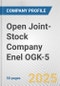 Open Joint-Stock Company Enel OGK-5 Fundamental Company Report Including Financial, SWOT, Competitors and Industry Analysis - Product Thumbnail Image